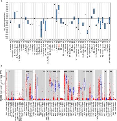 The Orphan Nuclear Receptor Gene NR0B2 Is a Favorite Prognosis Factor Modulated by Multiple Cellular Signal Pathways in Human Liver Cancers